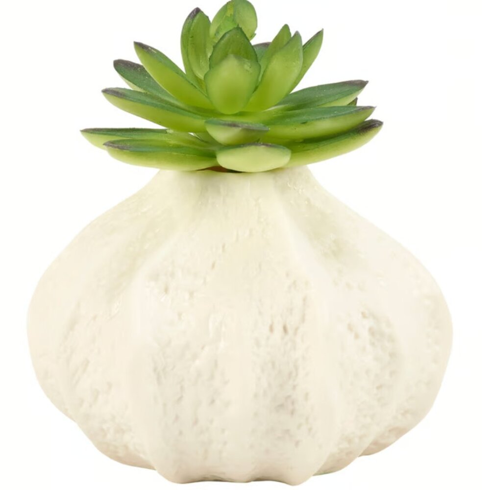 PBK - Small Sea Urchin Vase